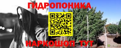 PSILOCYBIN Шебекино